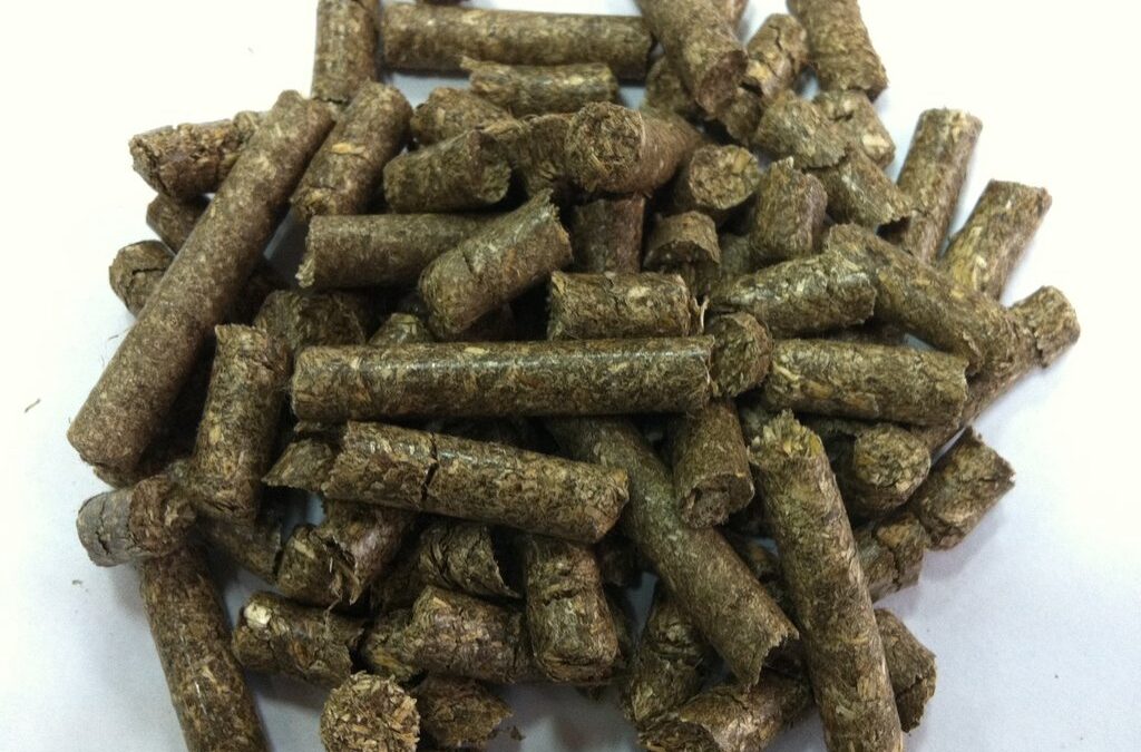 Hemp Pellets