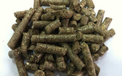 Hemp Pellets