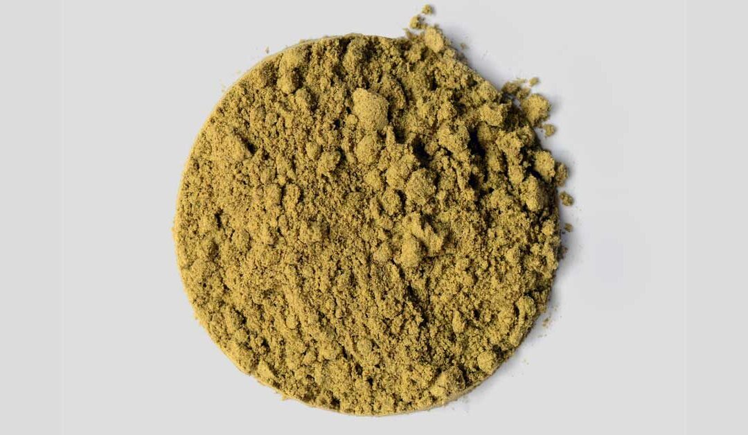 Hemp Protien Powder