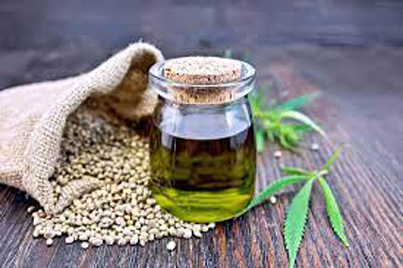 Hemp Seed Oil